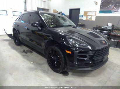 WP1AB2A51MLB37018
